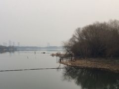 -渤公岛生态公园