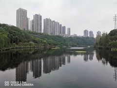 -重庆彩云湖湿地公园