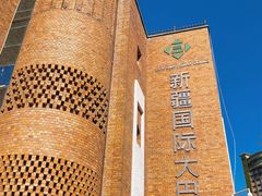 -新疆国际大巴扎