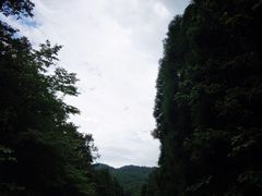 -武陵山森林公园