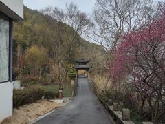 -芳草地度假酒店·野炉中餐厅
