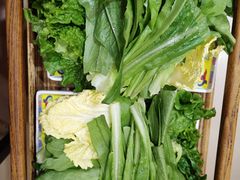 蔬菜拼盘-芦月轩羊蝎子(北蜂窝店)