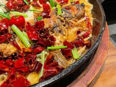 -老板恋上鱼(高新万达店)
