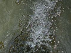 -碧江金楼