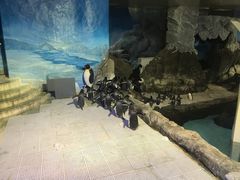 -成都浩海立方海洋公园