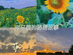 -苏州湾体育公园