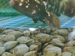 -三亚火车头万人海鲜广场