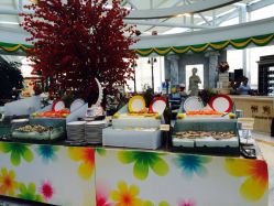 iphone_upload_pic-阳光五洲大酒店·宴会厅