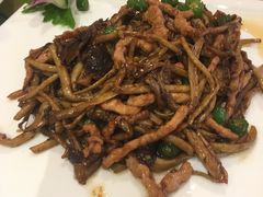 滑肉茶树菇-国人川菜(李家村建东街店)