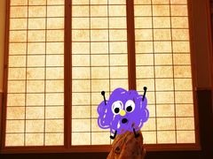 -重庆南山海昌汤都