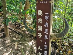 -西双版纳基诺山寨