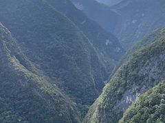 -武陵山森林公园