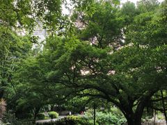 -晓港公园