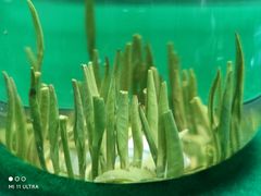 -永辉超市(华地财富广场店)