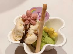 -阿露佳·舌尖上的安吉菜