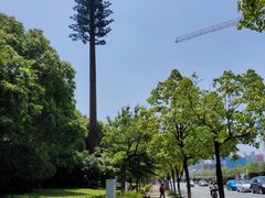 -艾溪湖湿地公园