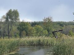 -东郊湿地公园