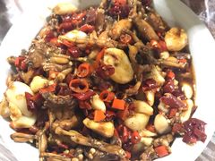 青蛙-铁头烧菜馆(立新路店)