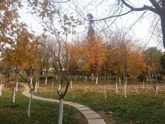-八大关景区