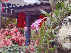 -园林美食城·本土农家菜(杨和镇店)