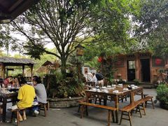 -青城甲(青城山店)