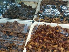 -鑫记婆婆兔·成都特产·兔头手撕兔(太古里店)