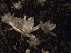 -悦江新远影城IMAX