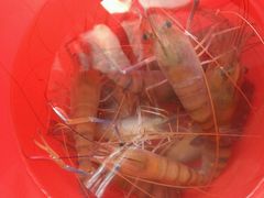 -小象钓虾·营地烧烤(洛溪店)