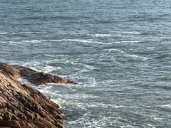 -广东惠东海龟国家级自然保护区