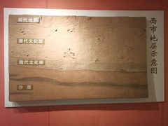 -西安大唐西市博物馆