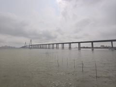 -中澳友谊花园