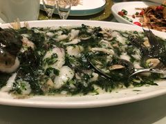 -蝶园·装修中(BFC外滩金融中心店)