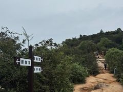 -灵岩山风景区