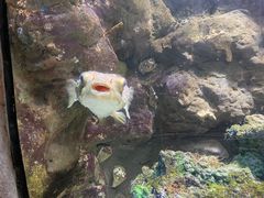 -杭州海底世界