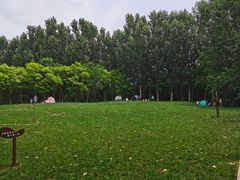 -塘沽森林公园