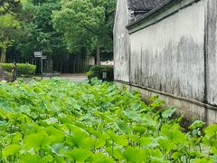 -兰亭风景区