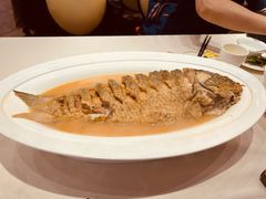 -阿庄新豫菜(航海东路店)