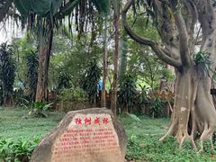 -独树成林
