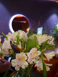 -花隐·美芙炫海菲秀皮肤管理中心