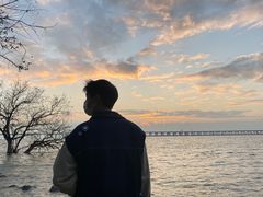 -宝安西湾红树林湿地公园