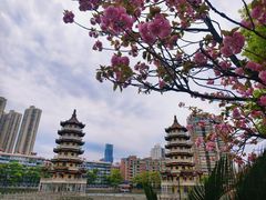 -宝岛公园