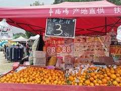 -秀丽东方