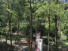 -中山市树木园
