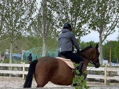 -北京群众马术培训基地