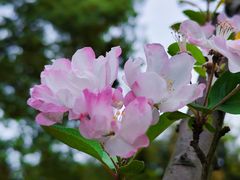 -重庆中央公园(渝北区)