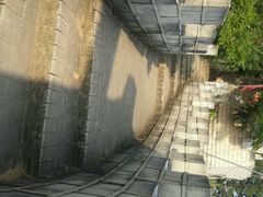 -松山湖梦幻百花洲