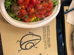 -油梨树 AVOCADO TREE(亮马桥店)
