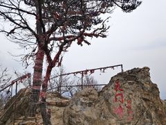-大连天门山国家森林公园