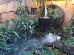 -园林美食城·本土农家菜(杨和镇店)