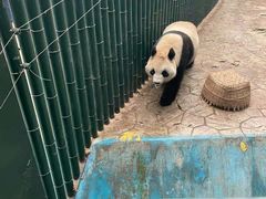 -沈阳森林动物园